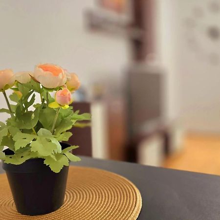 Apartament Confort Hd Hunedoara Dış mekan fotoğraf